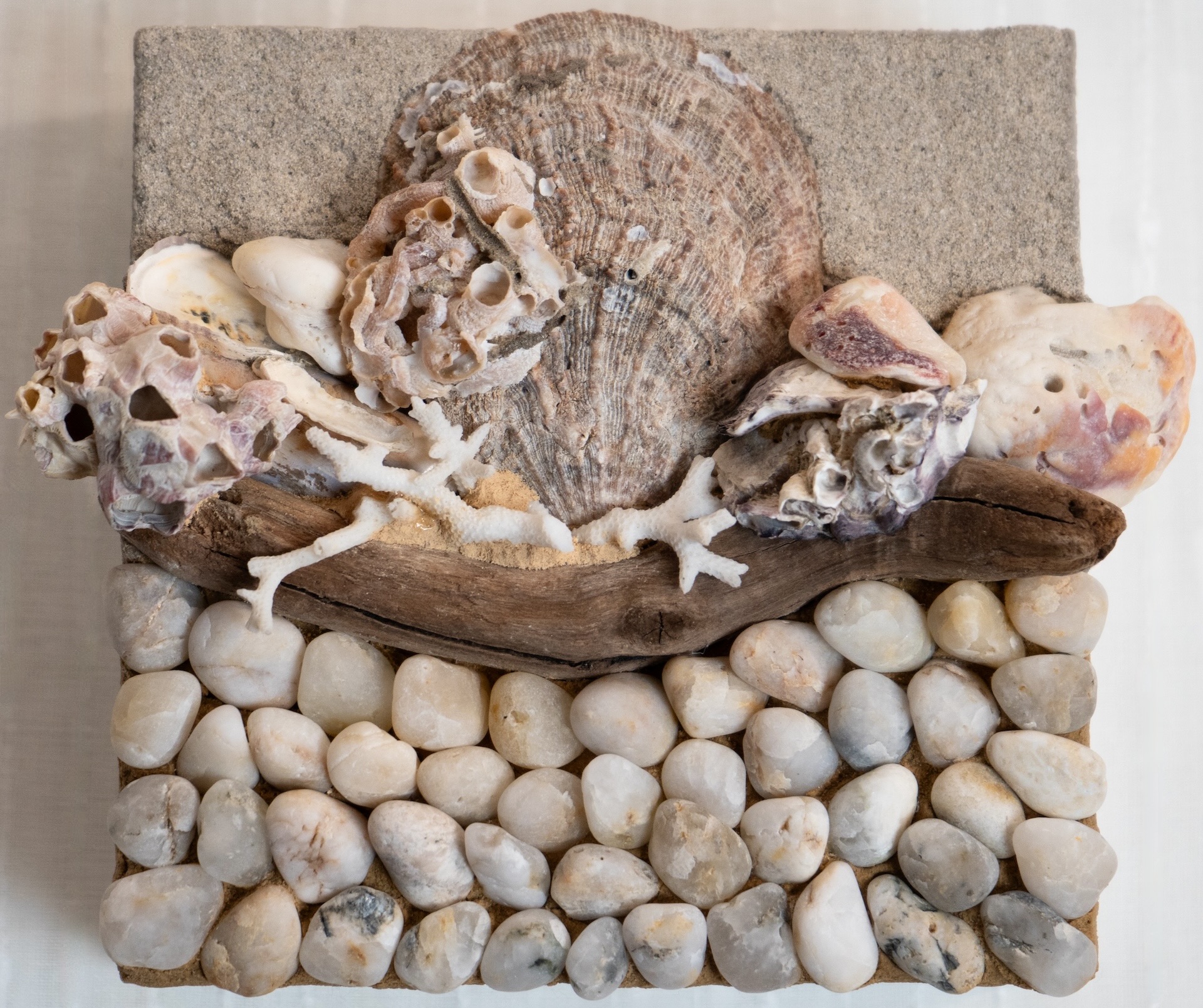Shell Keeper 1